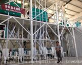山西晉城60噸面粉加工設備